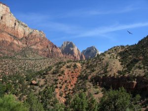 Mountains_in_Zion_National_Park,_Utah-compressor
